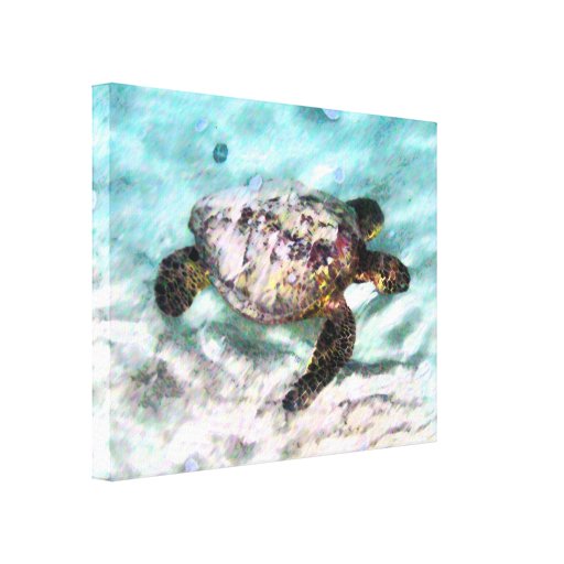 Swimming Turtle Wrapped Canvas Gallery Wrap Canvas