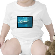 Swimming Walrus Tees