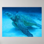 Swimming with sea turtles 2 poster