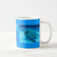 Swimming with Sea Turtles in Hawaii mug