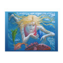 Swimming with tropical fish postcards