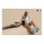 cheetah australia, cheetah swimwear, cheetah