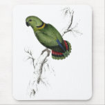 Swindern’s Parrakeet by Edward Lear Mouse Pads