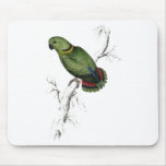 Swindern’s Parrakeet by Edward Lear Mousepads
