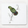 Swindern’s Parrakeet by Edward Lear Mousepads