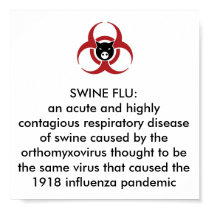 SWINE FLU H1N1 PANDEMIC POSTER posters