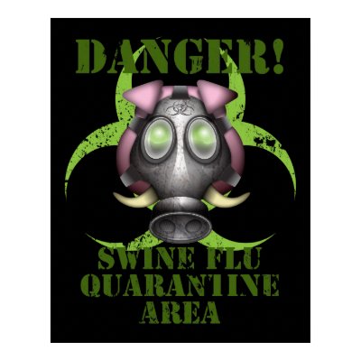 Swine Flu Poster by ttfisher