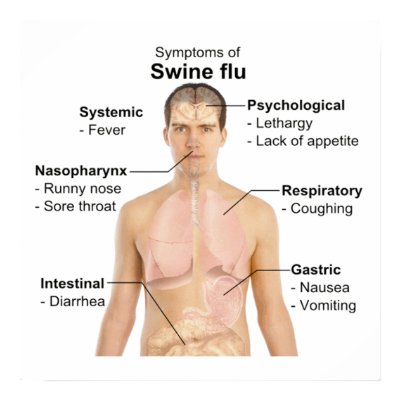 Swine Flu Posters by Hit_or_Miss