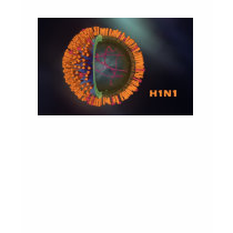 swine flu T-Shirt
