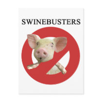 Swinebusters! Post Cards