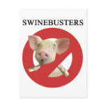 Swinebusters! Post Cards