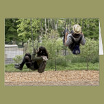 Swing Time cards