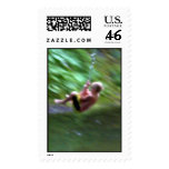 swingin summer2 stamp