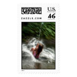 swingin summer 1 postage stamp