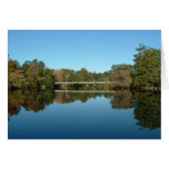 Swinging Bridge
