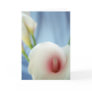 Swirl Lily Flower Greeting Card