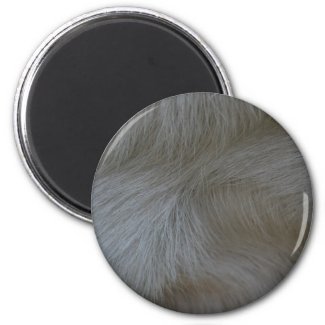 Swirls of white goat hair pattern magnet