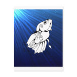 Swirly Betta on Blue Post Cards