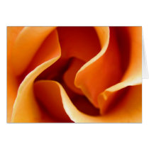 swirly rose cards
