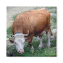 Swiss Alps cow magnet