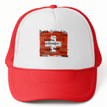 Swiss Cantons Cap Mesh Hat