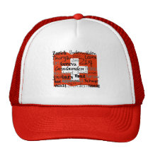 Swiss Cantons Cap Mesh Hat