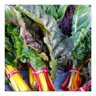 Swiss Chard