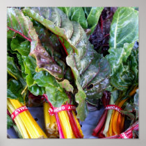 Swiss Chard Posters