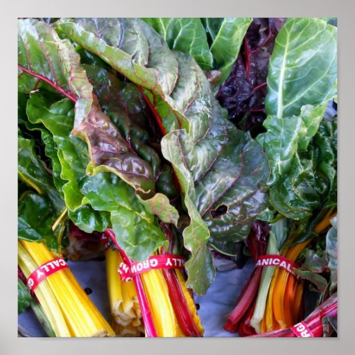 Swiss Chard Posters