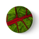 Swiss chard texture buttons