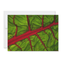 Swiss chard texture invitation