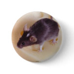 Swiss Cheese Mouse Button
