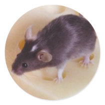 Swiss Cheese Mouse Sticker