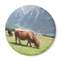 Swiss Cow magnets