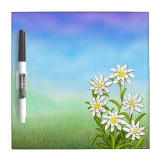 Swiss Edelweiss Flowers Dry Erase Board