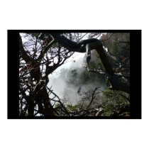 Swiss Fog posters