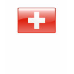 Swiss logo T-shirt