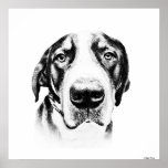 SWISS MOUNTAIN DOG posters