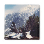 Swiss Spring Magnet