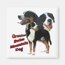 Swissie Trio 2 - Magnet