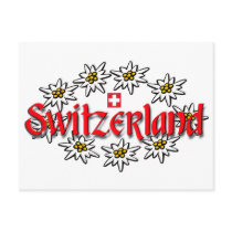 Switzerland Edelweiss Postcard