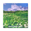 SWITZERLAND magnets