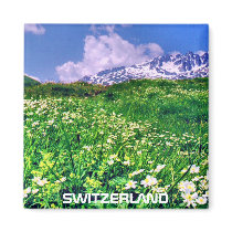 SWITZERLAND magnets