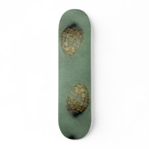 Swollen harp (Harpa major) Shell Custom Skate Board