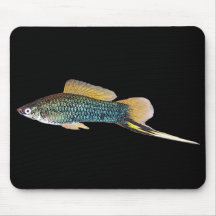 Swordtail mousepad