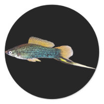Swordtail sticker