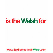 SWS t-shirts by SSIWelsh SWS t-shirts