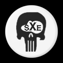 sXe Skull magnets