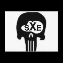 sXe Skull postcards