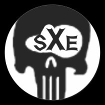 sXe Skull stickers